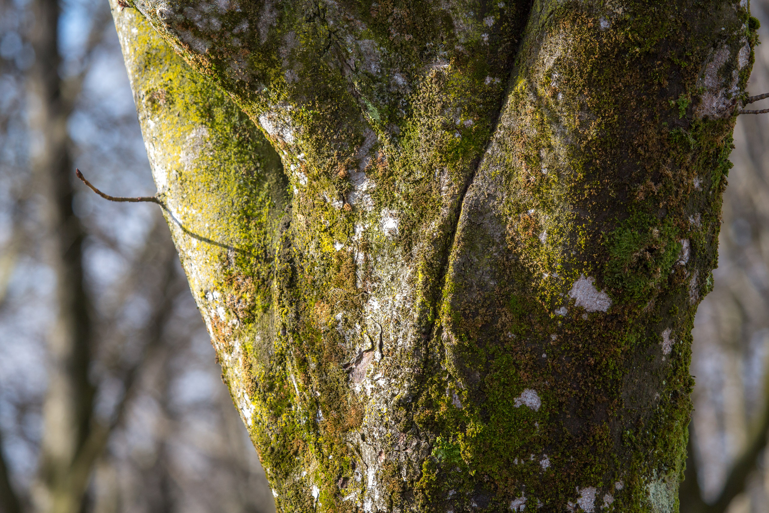 20150228151344 RD 85349